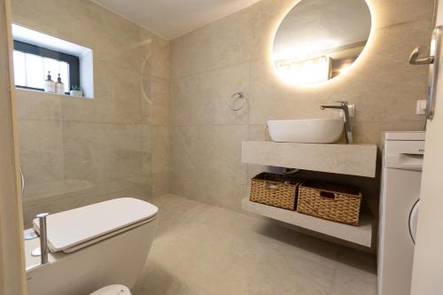a bathroom with a toilet and a sink and a mirror at Archontiko Koufantonis in Kotronas