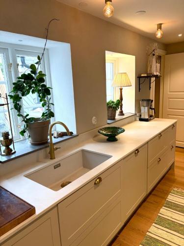 a kitchen with a sink and some plants on the counter at Two small houses in Ystad