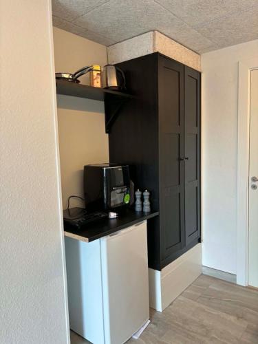 eine Küche mit einer Arbeitsplatte und einer Mikrowelle in der Unterkunft Ribevej 12 in Egebæk