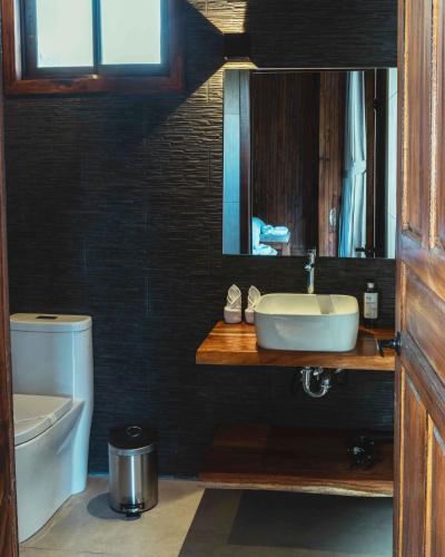 a bathroom with a sink and a toilet and a mirror at Lauraceas Lodge in San Gerardo de Dota