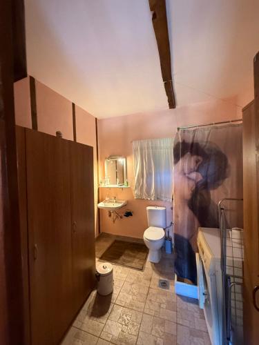 a bathroom with a toilet and a person in it at Sparta Gaia Retreat in Áyios Dhimítrios
