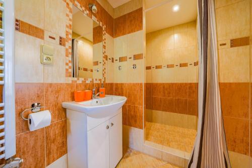 a bathroom with a sink and a shower at Apartmány Koloniál in Rokytnice nad Jizerou