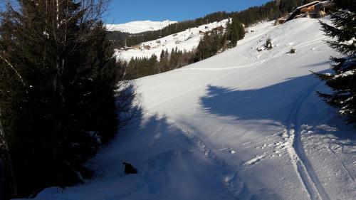 a snow covered ski slope with a person in the snow at Flörl in Zell am Ziller