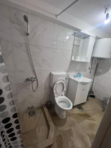 a bathroom with a white toilet and a shower at Konak Vrela Žabljak in Žabljak