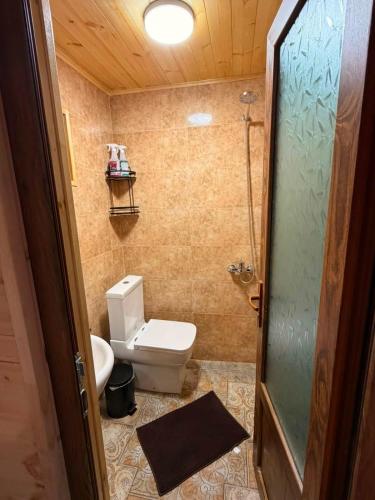 a bathroom with a toilet and a shower at Cottage lima in Kutaisi