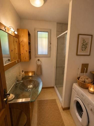 a bathroom with a sink and a washing machine at Le Panorama in Soultzeren