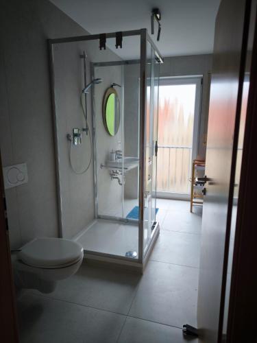 a bathroom with a glass shower and a toilet at Outletcity Ferienwohnung Wohnung 1 in Metzingen