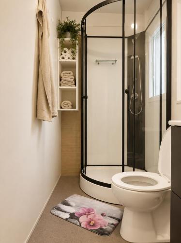 a bathroom with a shower with a toilet and a rug at Hiška Gaia- pool tickets included in Brežice