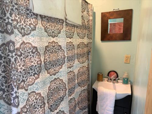 a bathroom with a shower curtain next to a sink at Pagosa Chi Camps in Pagosa Springs