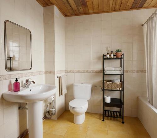 a bathroom with a white toilet and a sink at Apartamentos El Cuetu in Llanes