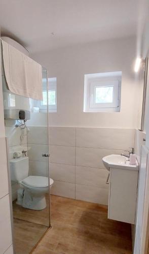 a bathroom with a toilet and a sink at Forest Apartman in Makó