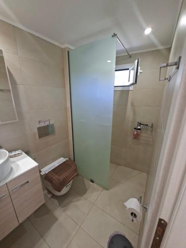 ein Badezimmer mit Dusche, Toilette und Waschbecken in der Unterkunft Elia Studios 1 in Nydri