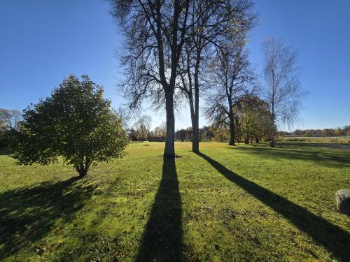 Gallery image of Kivi puhkemajad in Kauda