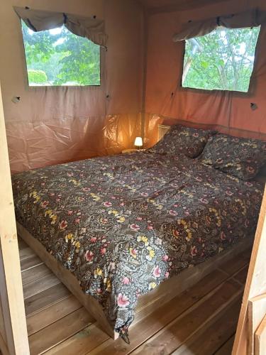 a bed in a small room with two windows at Minicamping Het Zuiderscheveld in Hollandscheveld