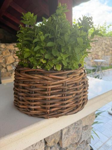a plant in a basket sitting on a table at Къща за гости Пилигрим in Skrino