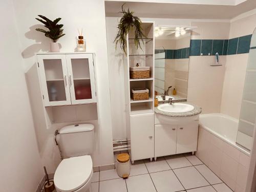 a white bathroom with a toilet and a sink at Charmant studio proche gare - parking privatif individuel clos in Arras
