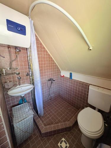 a bathroom with a shower and a toilet and a sink at Vikendica Bistrica in Mojkovac
