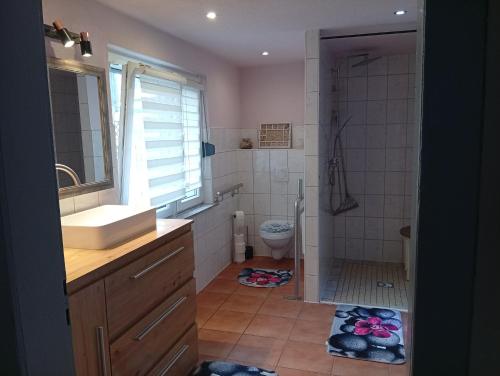 a bathroom with a sink and a shower and a toilet at Ferienhäuschen Berg und Tal in Harzgerode