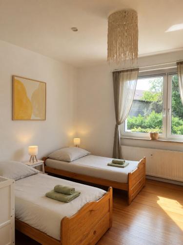 two beds in a room with a window at Gemütliche Ferienwohnungen Teterow für bis zu 10 Personen in Teterow