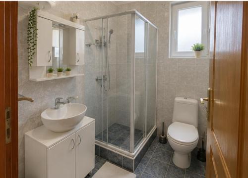 a bathroom with a shower and a sink and a toilet at Apartmani Krčmarica 10 in Divčibare