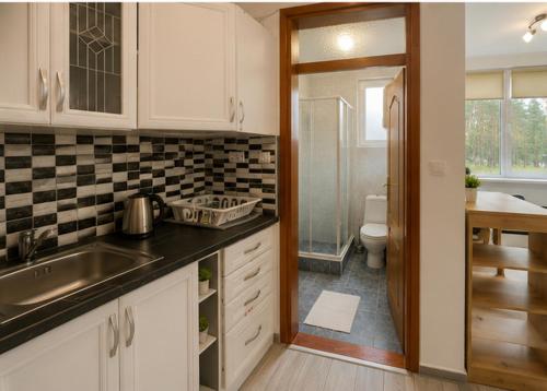 a kitchen with a sink and a bathroom with a toilet at Apartmani Krčmarica 10 in Divčibare