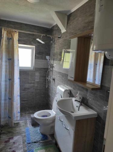 a bathroom with a toilet and a sink at Apartman Dzans in Jajce