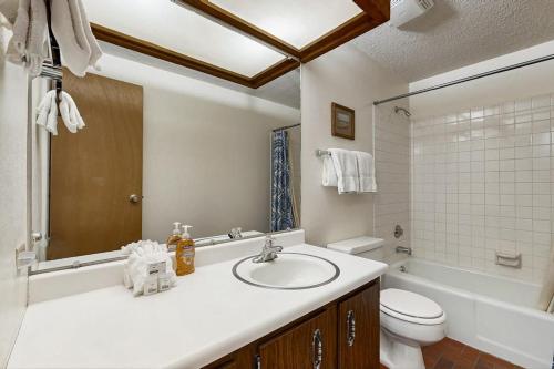 a bathroom with a sink and a toilet and a tub at Sun Valley Serenity in Sun Valley