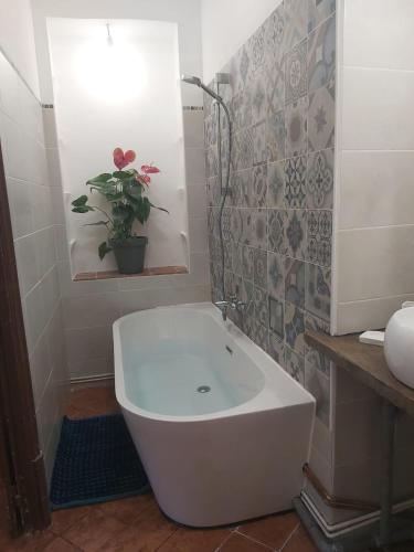 a white bath tub in a bathroom with a plant at Chez jacky in Serres