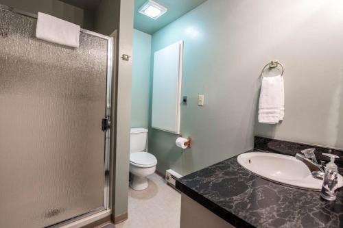 a bathroom with a sink and a toilet and a shower at Condo Del Sol 210 in Sandpoint