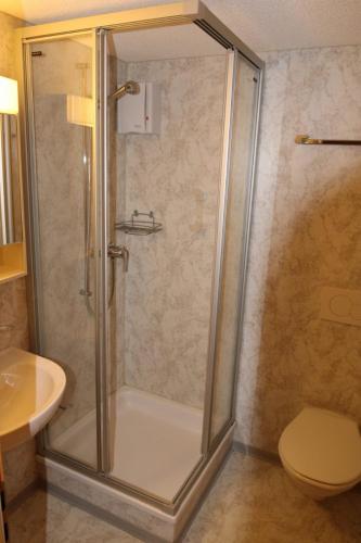 a bathroom with a shower with a toilet and a sink at Hotel Restaurant Waldrand in Isenfluh