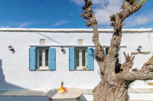 a house with blue shutters and a tree at Xenia Xinara in Tinos