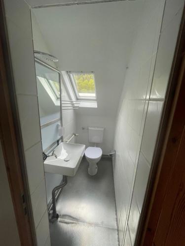 a small bathroom with a sink and a toilet at Gasthaus Liam 4 in Bendorf