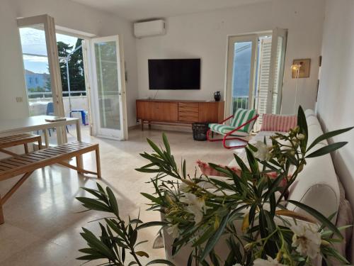 Otto Novalja, spacious penthouse apartment in city center