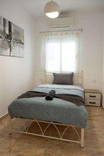 Nireas Casa Zeusplace
