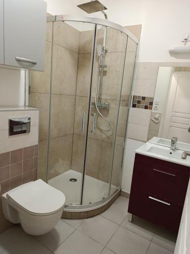 a bathroom with a shower and a toilet and a sink at 388Paradis08 in Marseille
