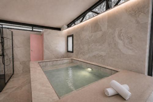a bathroom with a swimming pool with a shower at heart & ponie - Retiro Rural Privado con Piscinas in Chinchón
