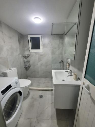 a bathroom with a toilet sink and a washing machine at Vila Mollanji in Tirana