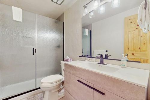 a bathroom with a toilet and a sink and a shower at Apres Escape in Sandpoint