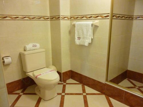 y baño con aseo y ducha. en Hotel Faraon, en Tacna