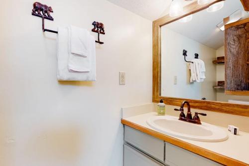 a bathroom with a sink and a mirror at Nordic Wilderness Lodge in Bartlett