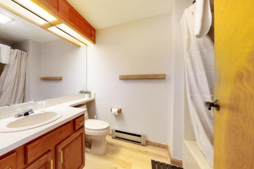 a bathroom with a sink and a toilet and a shower at White Mountain Chalet in Bartlett