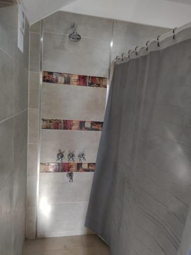 a shower with a shower curtain in a bathroom at Casa XENA in Río Cuarto