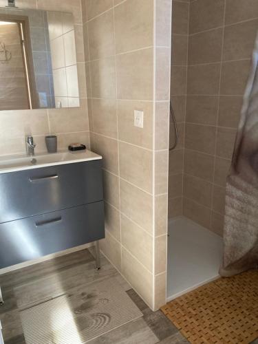 a bathroom with a sink and a shower at Maisonnette Hauts d'Evian in Larringes