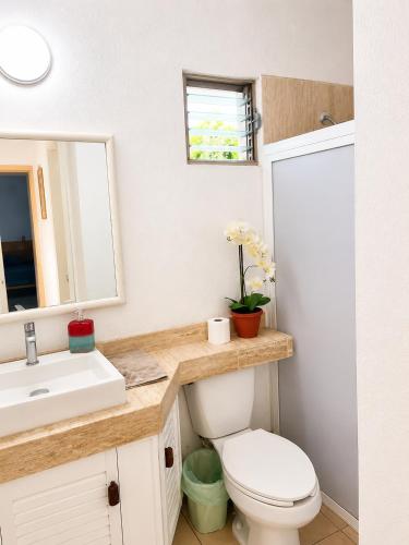 a bathroom with a toilet and a sink and a mirror at Hermoso apartamento en Manzanillo con alberca y cancha de tenis, Ideal para relajarse y disfrutar de una escapada tranquila en el paraíso tropical in Manzanillo