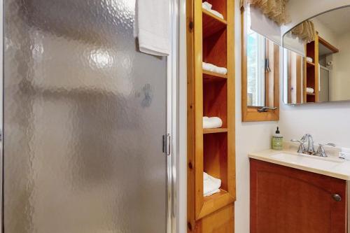 a bathroom with a shower and a sink at Bayside Sunshine in Ossipee