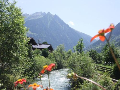 a river with flowers in front of a mountain at Apart-Pension Oberreiter in Fusch an der Glocknerstraße