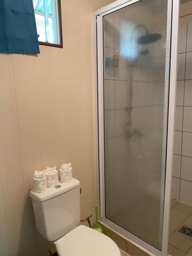 a bathroom with a toilet and a shower with towels at Rurutu Randy in Rurutu