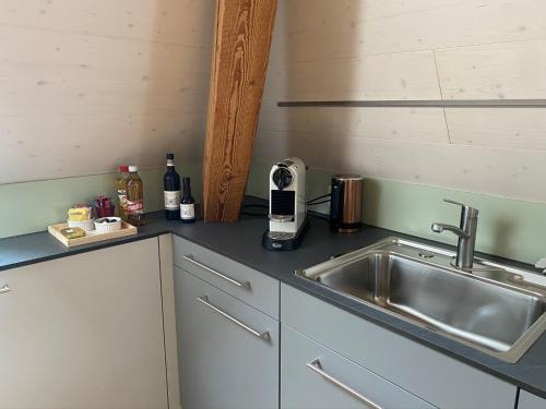 a kitchen with a sink and a counter top at Hopfengrün Langenthal in Langenthal