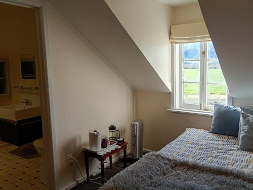 a bedroom with a bed and a sink and a window at Western House B&B Kurow in Kurow