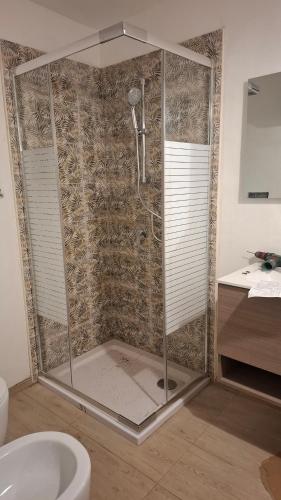 a shower in a bathroom with a toilet and a sink at Casal Baratz in Santa Maria la Palma